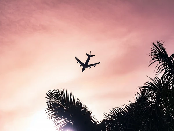 Ein Flugzeug fliegt hoch am Himmel über einer silhouettierten Palmenlandschaft, während der Sonnenuntergang den Himmel in warmen Pink- und Lilatönen färbt.
